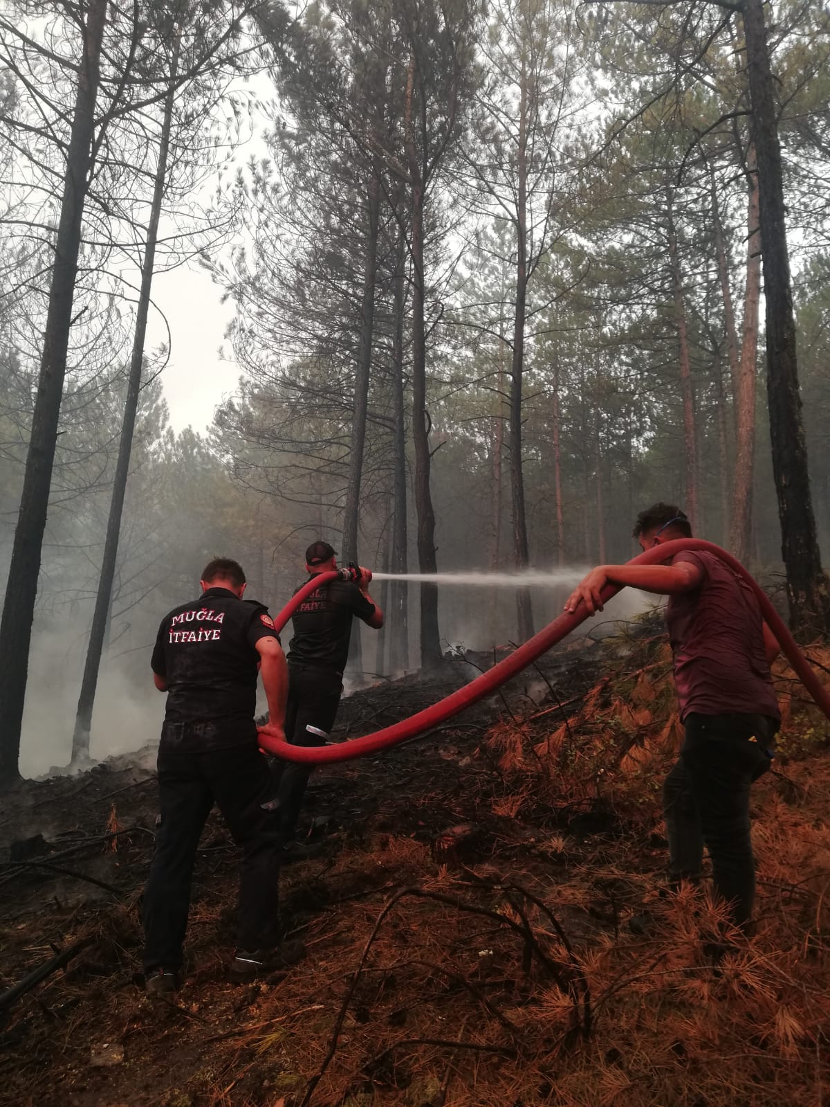 Büyükşehir Orman Yangınlarında Tüm Gücüyle Sahada